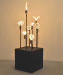 LED 8W Butterfly Bulb | Dimmable